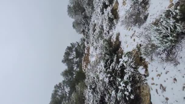 Snow Mountains Ibiza Short Distance Sea Vertical Video Footage — ストック動画