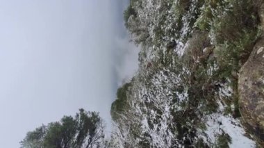 Snow in the mountains of Ibiza, a short distance from the sea. Vertical video footage.