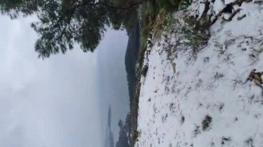 Snow in the mountains of Ibiza, a short distance from the sea. Vertical video footage.