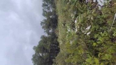 Snow in the mountains of Ibiza, a short distance from the sea. Vertical video footage.