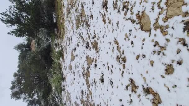 Ibiza Dağlarında Kar Denizden Kısa Bir Mesafede Dikey Video Görüntüleri — Stok video