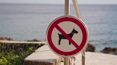 Hırvatistan 'da Adriyatik Denizi kıyısındaki bir plajda köpeklere izin verilmeyen bir tabela