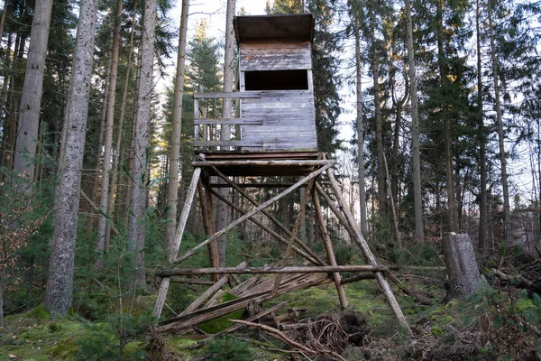 Cazador Madera Mirador Torre Bosque —  Fotos de Stock