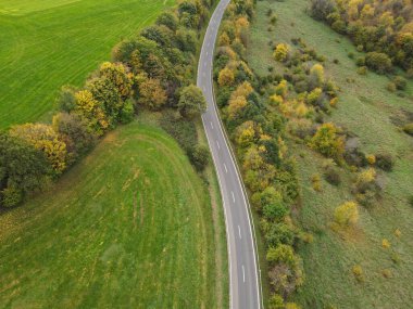 Sonbaharda kırsal kesimde ağaçlar arasındaki dolambaçlı bir yolun havadan görünüşü