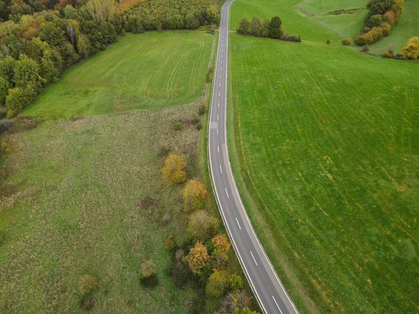 Long asphalt road between grass and tress in the autumn landscape from above