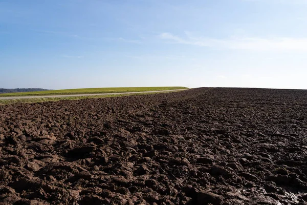 Farmland hill with a road and a field of grass to the side on a sunny day with blue sky in spring