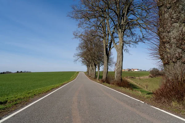 View of a long road between grass and trees with blue sunny sky in spring 