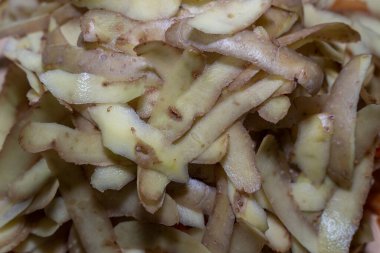 Background with fresh cut off potato peel