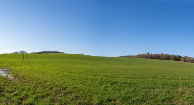 Baharda güneşli bir günde çimen tepesi ve mavi gökyüzü olan bir panorama.