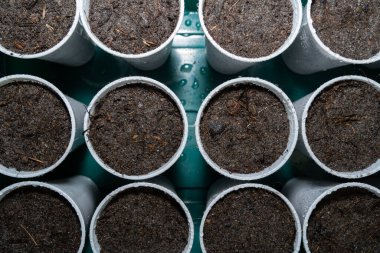 Baharda toprak ve sebze tohumu ile ıslak plastik bardaklar 