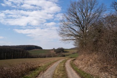 Kırsal kesimde tarımsal tarlalar, ağaçlar ve baharda bulutlu mavi bir gökyüzü.