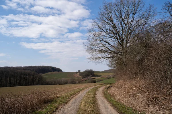 Feldweg Der Landschaft Mit Landwirtschaftlichen Feldern Bäumen Und Blauem Himmel — Stockfoto