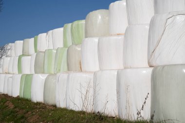 Kırsalda mavi gökyüzü olan bir sürü saman balyası