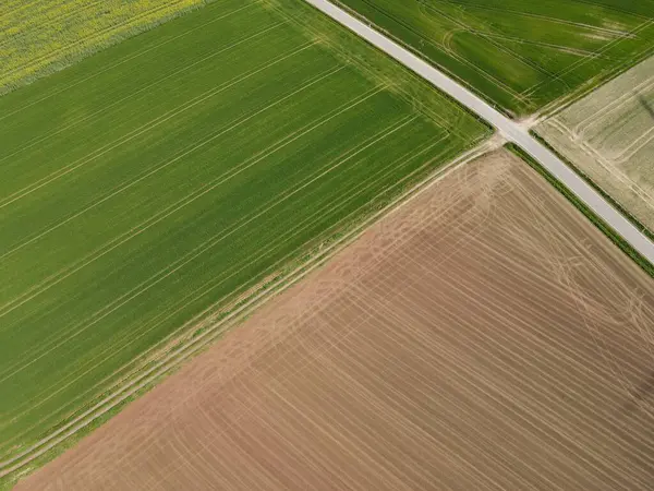 Вид Воздуха Вспаханные Растущие Сельскохозяйственные Поля Весной — стоковое фото