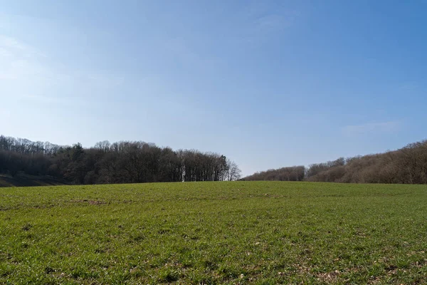 春は緑豊かな木々と青空が広がる風景の中の草の丘 — ストック写真