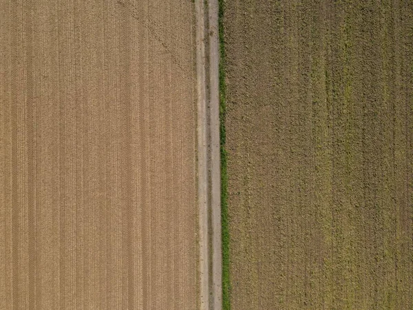 Грязная Дорога Между Вспаханными Сельскохозяйственными Полями Землей — стоковое фото