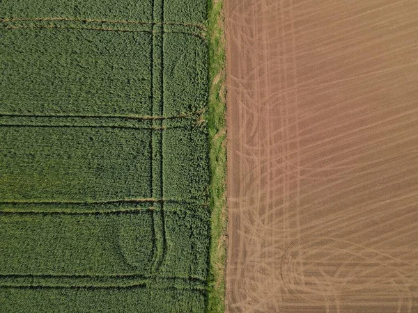 小麦の栽培地と耕作地の上からの土壌 — ストック写真