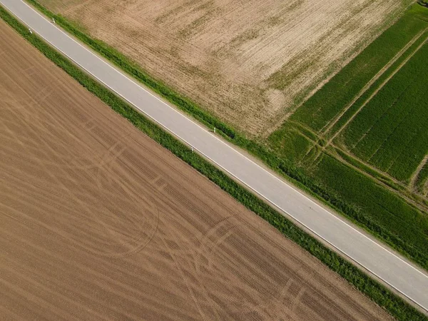 春の田園地帯の農業分野間の道路の空中ビュー — ストック写真