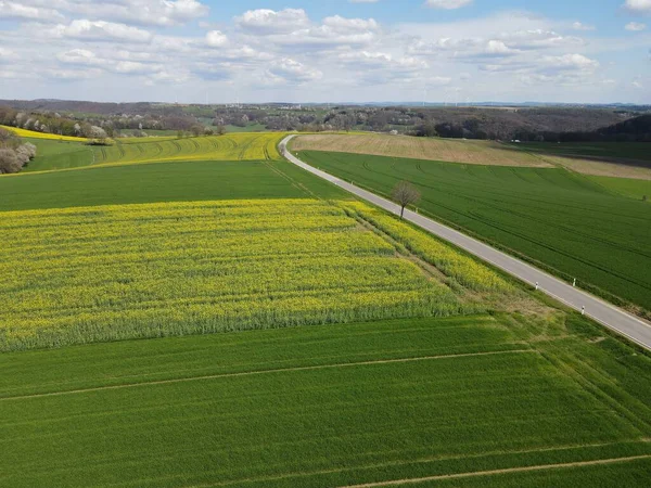 Paisagem Alemã Com Campos Agrícolas Crescimento Uma Estrada Céu Azul — Fotografia de Stock