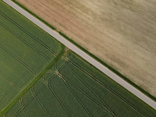 从绿色生长的麦田与春耕耕地之间的道路的上方看 — 图库照片