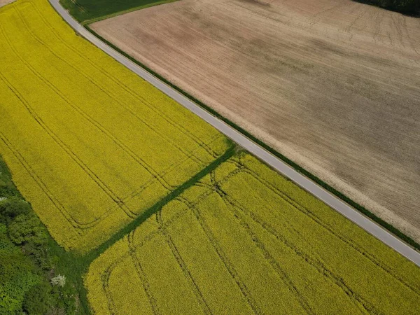 Αεροφωτογραφία Τοπίου Κίτρινη Ανθισμένη Κράμβη Καστανή Καλλιεργήσιμη Χώμα Και Ασφαλτοστρωμένο — Φωτογραφία Αρχείου