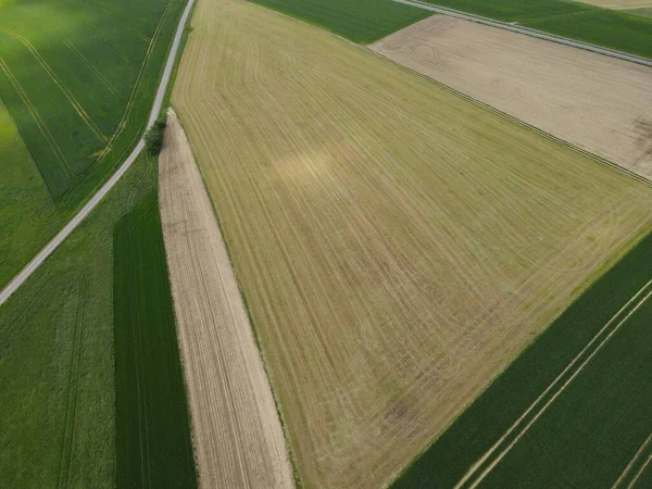 春には土壌 小麦のある農地の上からの眺め — ストック写真