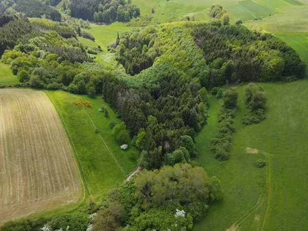 緑の芝生の風景の中に木と森の空中ビュー — ストック写真