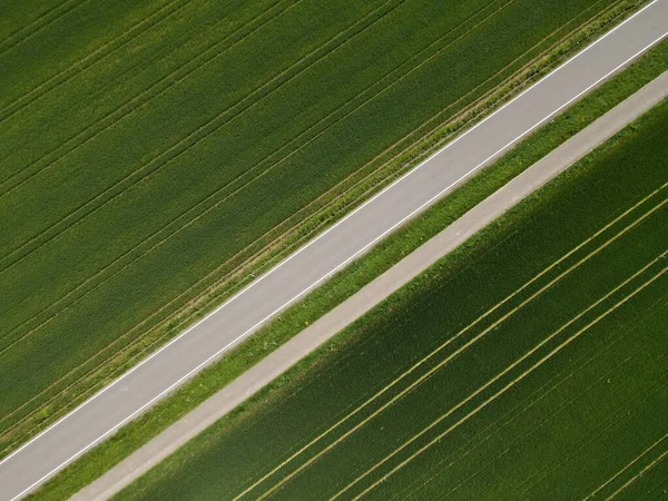 アスファルト道路の空中風景と緑の小麦畑の間の自転車道 — ストック写真