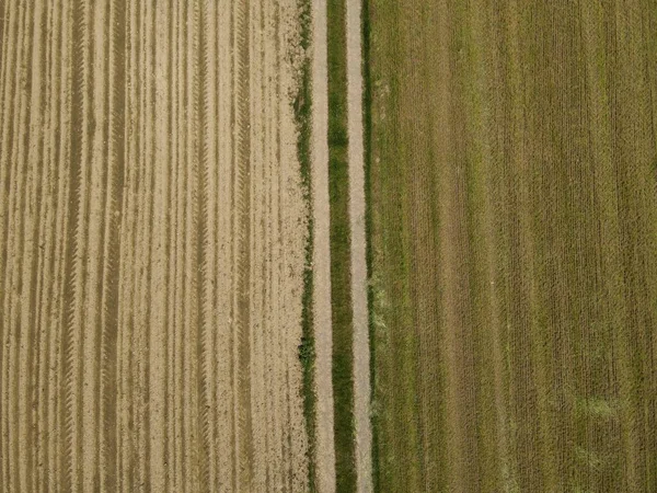 Грязная Дорога Между Сельскохозяйственными Полями Почвой Ландшафте — стоковое фото