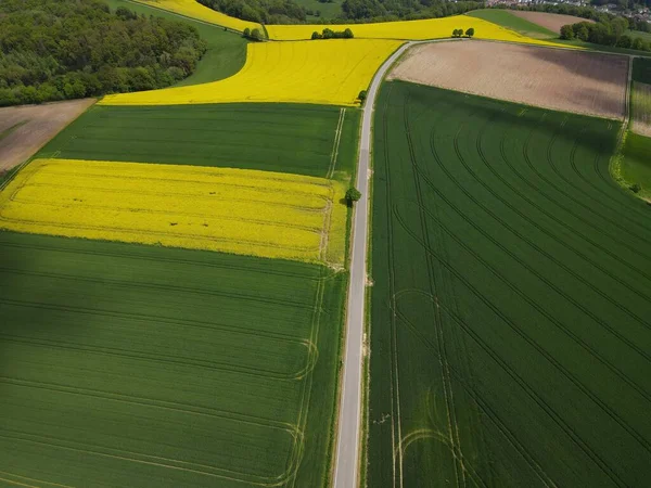 小麦の栽培 油種の菜の花の栽培 耕作可能な畑と真ん中の道路と農業の土地の空中ビュー — ストック写真