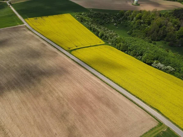 耕作農地と黄色の菜の花畑と春の真ん中の道路の風景の空中ビュー — ストック写真