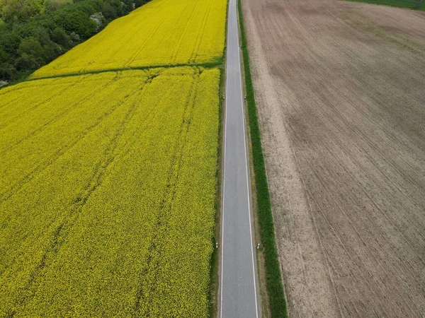 黄色の菜の花畑の上からの眺め アスファルトの道と風景の中に土壌と耕された耕地 — ストック写真