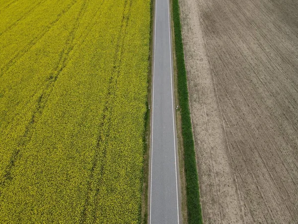 菜の花と耕された耕地との間のアスファルト道路の上からの眺め風景の中に土壌 — ストック写真