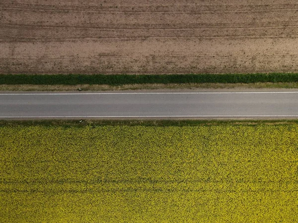 耕起畑と土壌との間の道路の上からの眺め菜の花畑 — ストック写真