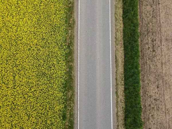 黄色い菜の花畑の間のアスファルトの道路の空中ビューと風景の中に土壌と耕地を耕した — ストック写真