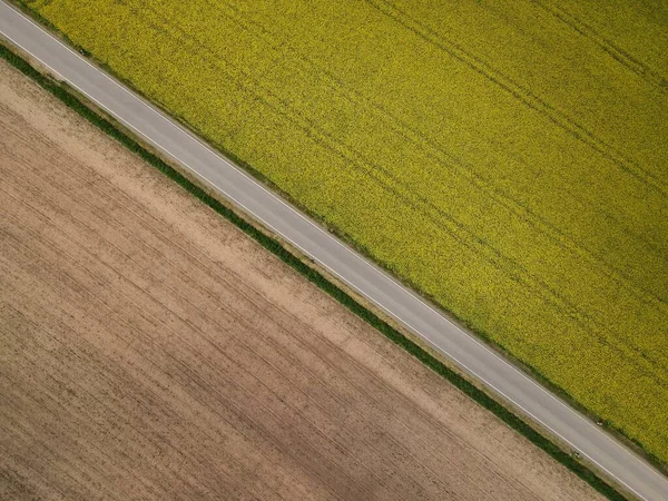 耕作可能な土地と春に咲く菜の花畑の間の農村アスファルト道路のドローンビュー — ストック写真