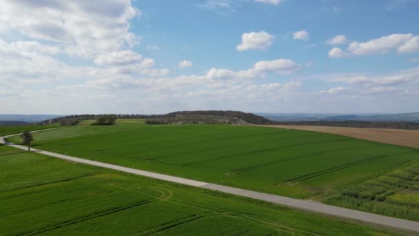 Drone Flygning Över Ett Landskap Med Växande Jordbruksfält Och Blå — Stockvideo