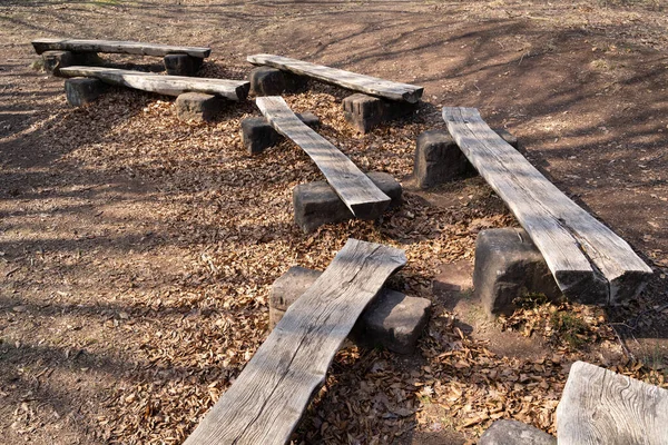 Benches Halved Logs Forest — Stock Photo, Image