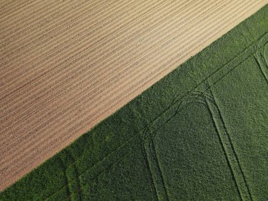 Topraklı ekilebilir tarlaların ve baharda yeşil mahsul tarlalarının havadan görüntüsü 