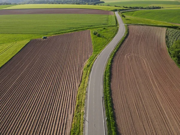 農地と土壌と小麦との間の長いアスファルト道路上から — ストック写真