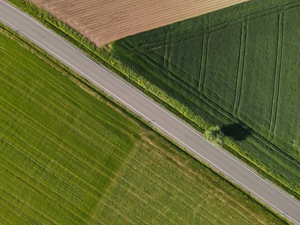風景の中で晴れた日に緑の作物畑の間のアスファルト道路の上からの眺め — ストック写真