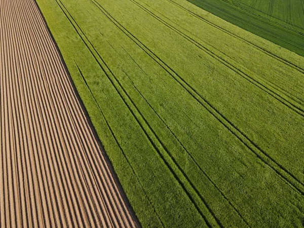 Αεροφωτογραφία Ενός Οργωμένου Αροτραίου Αγρού Χώμα Και Ένα Καταπράσινο Καλλιεργητικό — Φωτογραφία Αρχείου