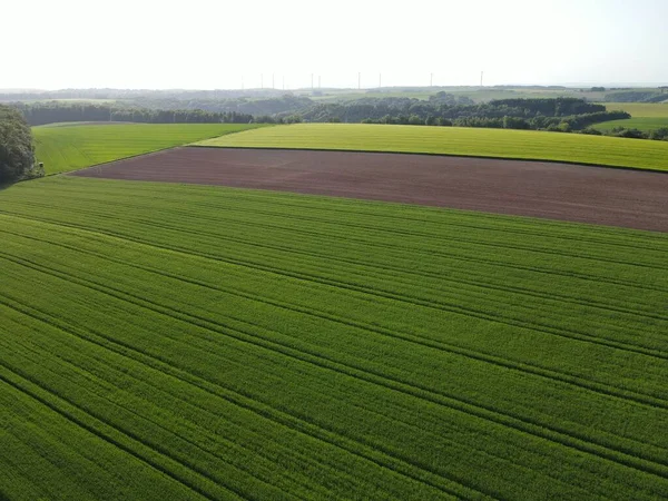 Vista Aérea Los Campos Agrícolas Con Cultivos Suelo Arado Primavera — Foto de Stock