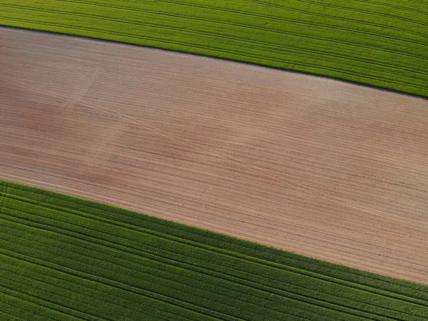 Landbouwgrond Met Tarweteelt Geploegde Grond Van Bovenaf Het Voorjaar — Stockfoto