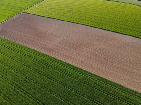 Groene Teeltvelden Landbouwgrond Van Bovenaf Geploegd Het Voorjaar — Stockfoto