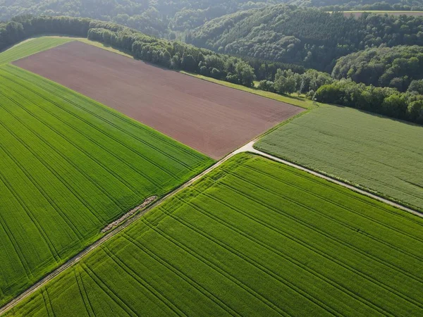 初夏に緑の作物畑と耕された農地の空中風景 — ストック写真
