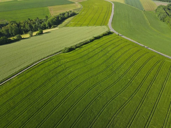 Luftaufnahme Von Vielen Grünen Ackerflächen Mit Weizen Gerste Und Roggen — Stockfoto
