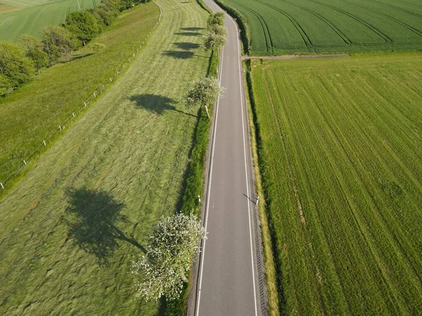 風景の中に草や木の間の長いアスファルトの道路の空中ビュー — ストック写真