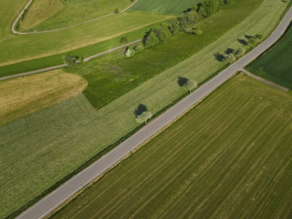 風景の中に草原の間の長い田舎のアスファルトの道路の上からの眺め — ストック写真