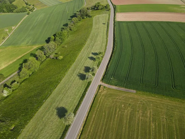 風景の中で晴れた日には 草や農業分野間の長いアスファルトの道路の空中ビュー — ストック写真